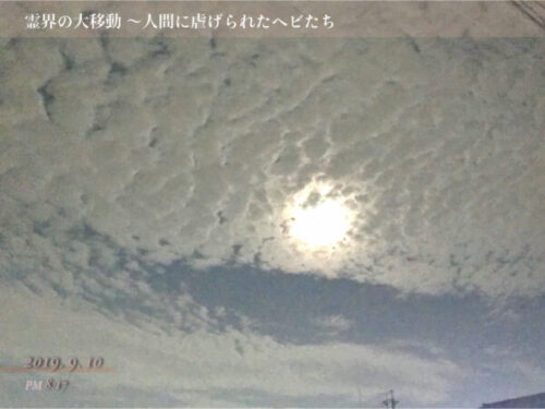 真っ白な鱗雲の画像