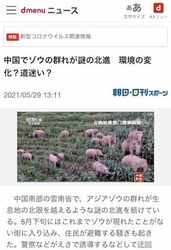 中国で象の群れが謎の北進　環境の変化？道迷い？ニュースの画像