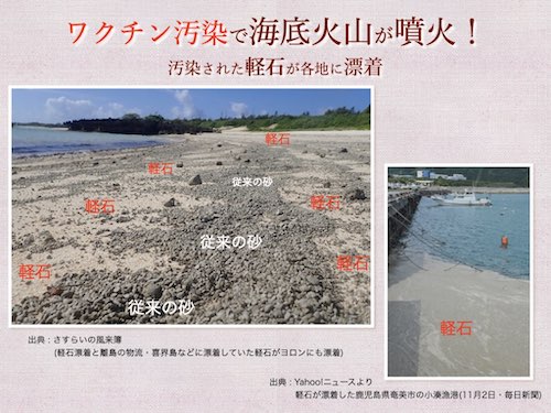 沖縄 海底火山噴火・軽石漂流の画像