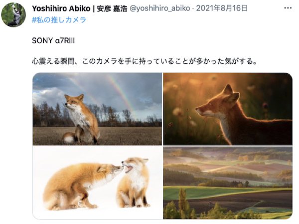 2021年 写真家 安彦嘉浩さん撮影　虹の中のキツネの画像