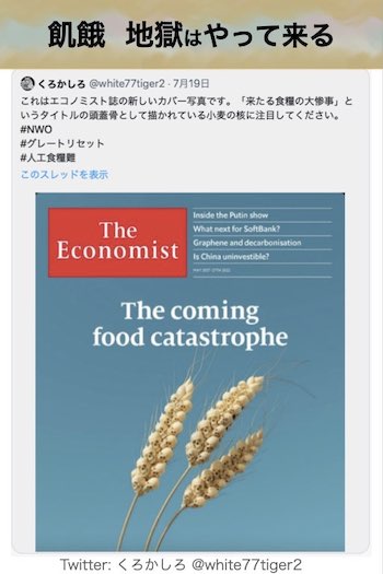人工食糧難 小麦の画像
