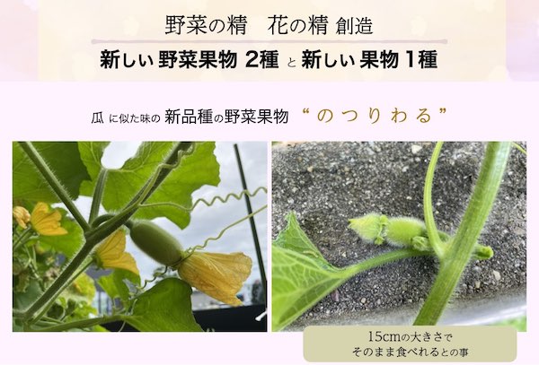 瓜に似た味 新品種の野菜果物の画像