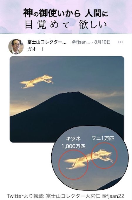 富士山コレクター大宮仁 富士山の画像