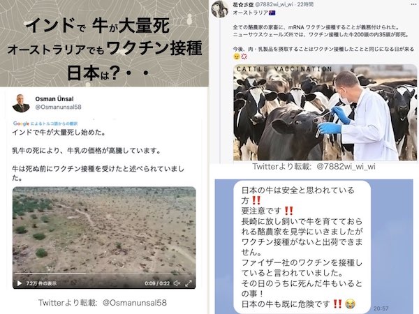 インドで 牛が大量死 オーストラリアでもワク接種 日本は？の画像