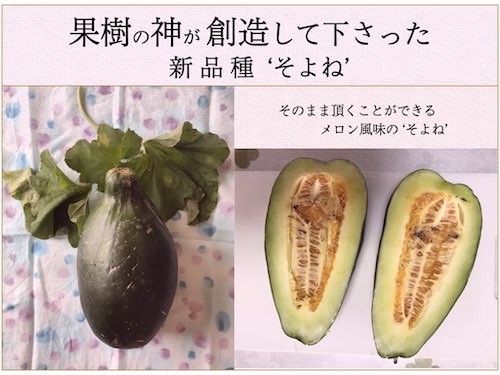新品種の果物野菜の画像